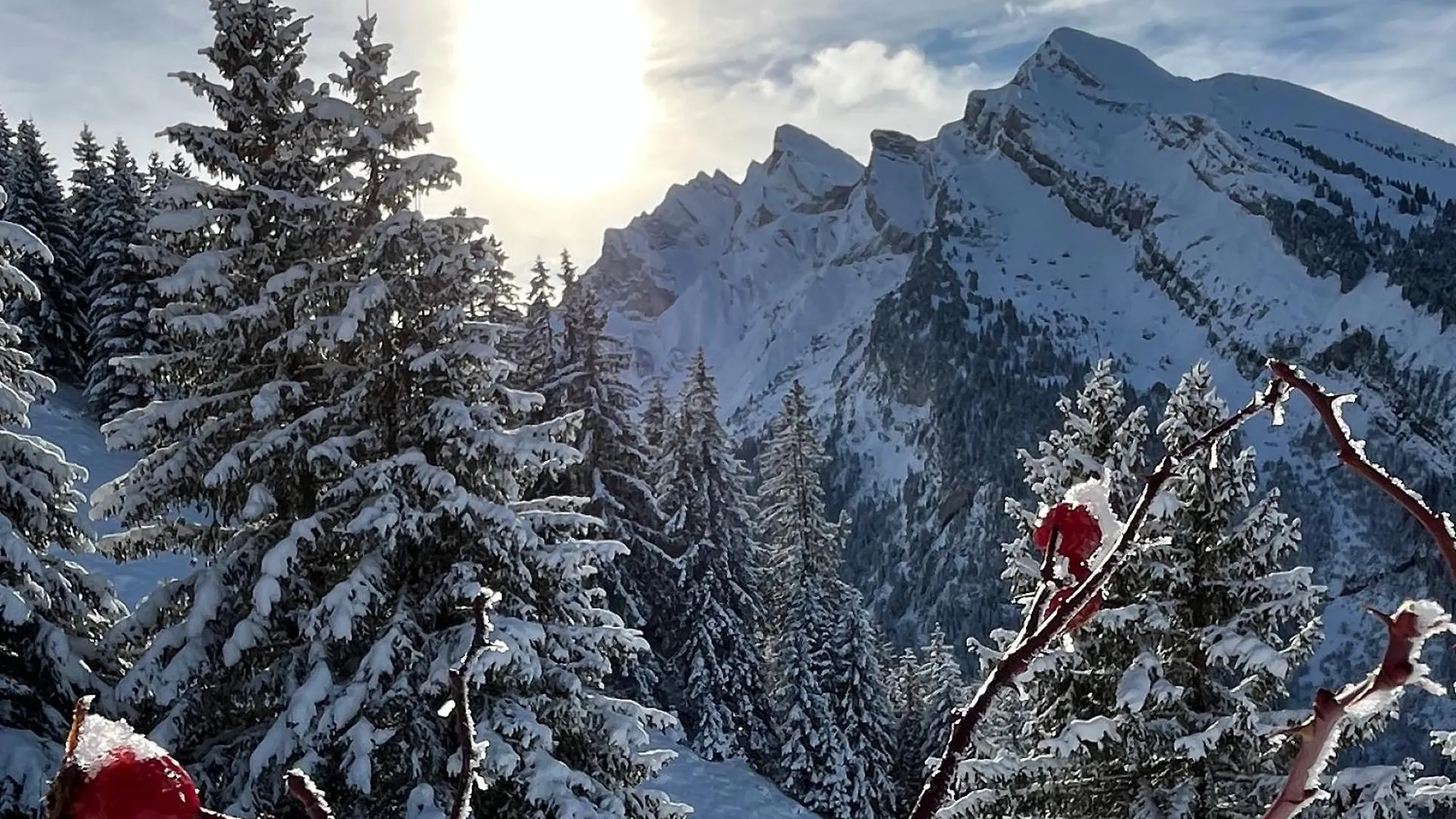 Appartement Lapreski 4 Etoiles, Ambiance Chalet, Annecy, La Clusaz Thones France