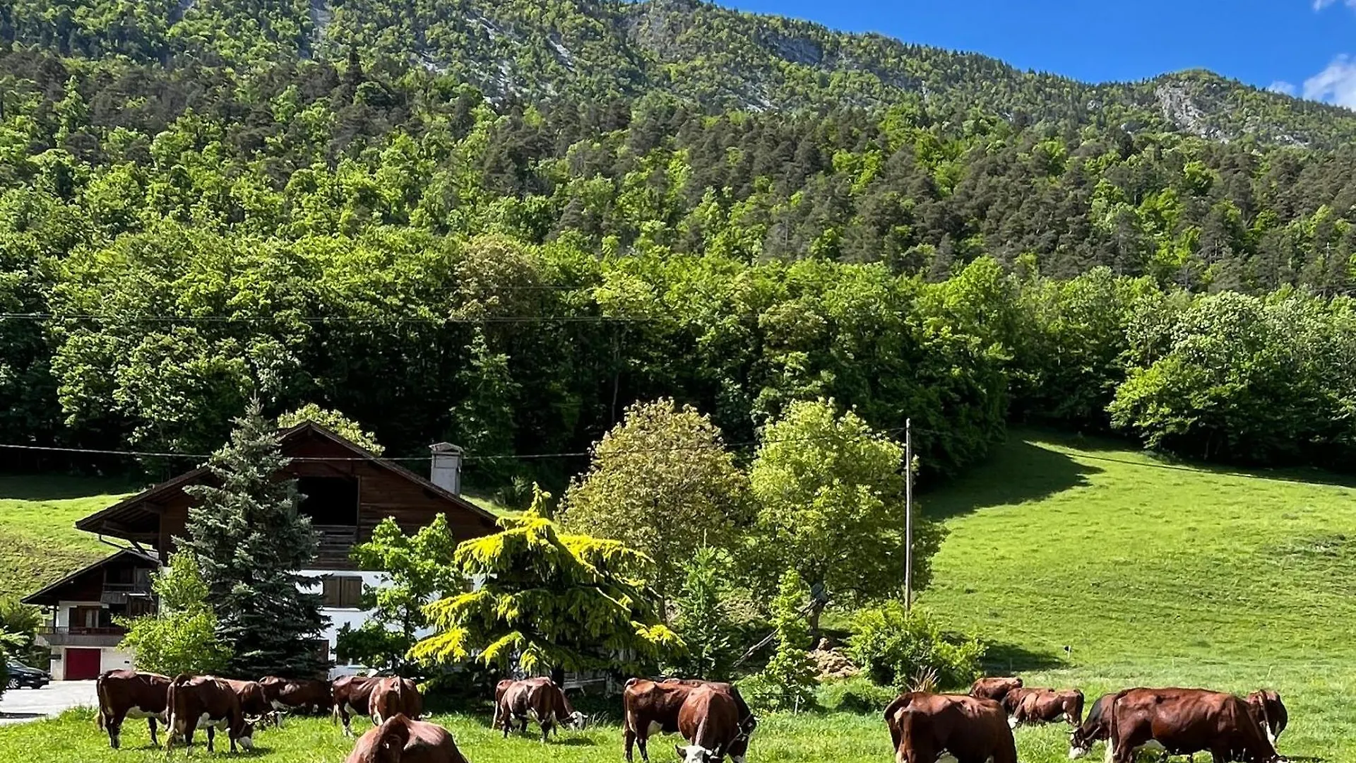 Appartement Lapreski, Spacieux, Proche Lac D'Annecy, Randonnees Montagne France