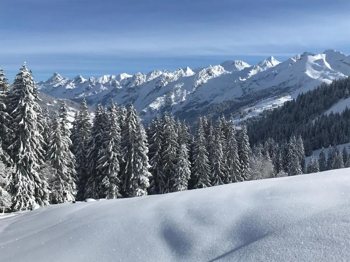 Appartement Lapreski, Spacieux, Proche Lac D'Annecy, Randonnees Montagne France